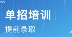 河北单招线上面试流程详解,成功面试的关键步骤与技巧